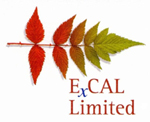 Excal